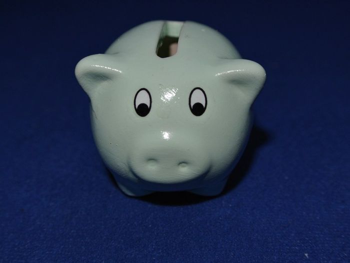 Little Porcelain Pig Money Box