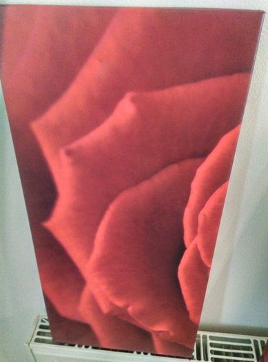 Three matching rose prints on canvas.