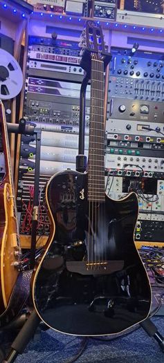 Godin Multiac Steel Duet