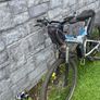 E bike Image 2