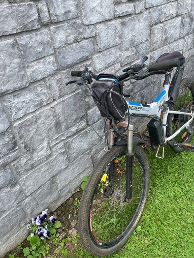 E bike