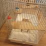 Animal cage Image 2