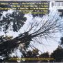The Cranberries - To The Faithful Departed CD Image 2