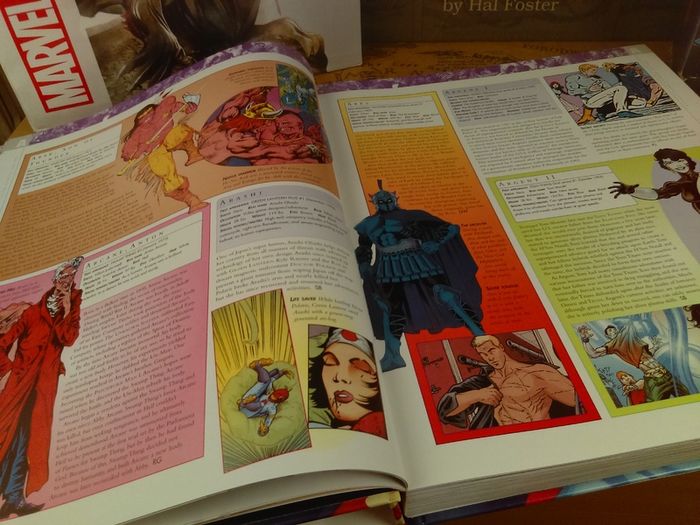The DC Comics Encyclopedia ! The Definitive Guide To The Characters Of The DC Universe ! Beautiful Hardback !