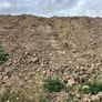 Soil Image 2