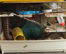 Hamster cage