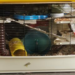 Hamster cage