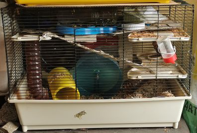 Hamster cage
