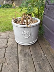 Ceramic pot