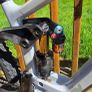 Vitus Sommet CRX Size Small Image 5