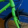 Frog 50 Image 8