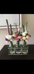 3 Piece Glass Vase Set and Holder