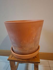 Large terracotta pot
