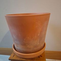 Large terracotta pot