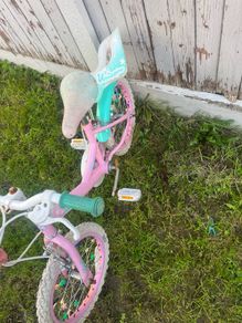 kids bike