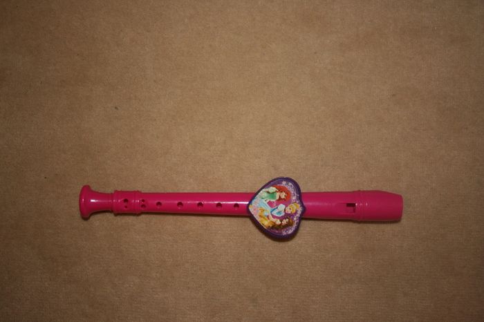 Disney Princess Tin Whistle Musical Toy
