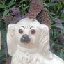 A Pair of Nineteenth Century Staffordshire Dogs(12") Image 6