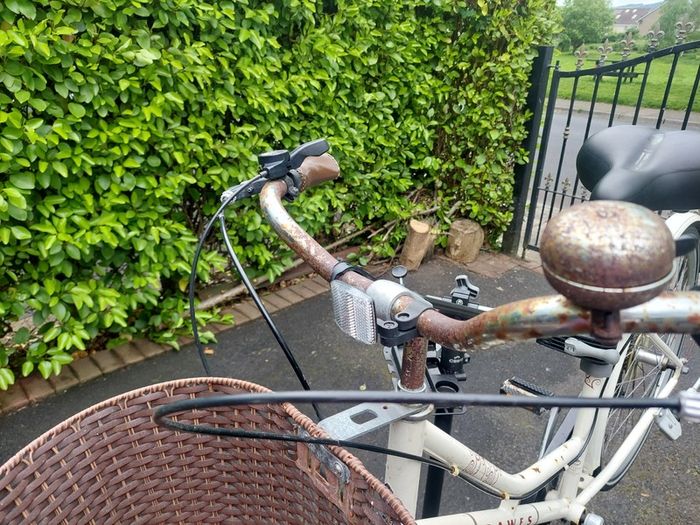 Ladies Bicycle