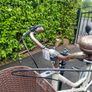 Ladies Bicycle Image 2