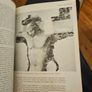 What Is Art History. By Mark Roskill. First Edition Paperback In Good Condition.  See Photos For Same. Image 6