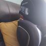 Cybex Car Seat Image 3