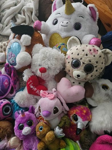 Teddies and dolls