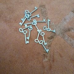 Basta internal door keys