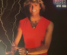 Andy Gibb After Dark Original 1980 Irish Pressing Vinyl LP