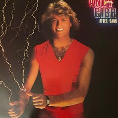 Andy Gibb After Dark Original 1980 Irish Pressing Vinyl LP