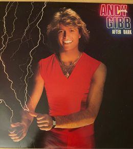 Andy Gibb After Dark Original 1980 Irish Pressing Vinyl LP