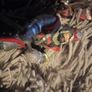 Schleich dragon knight horse and knights Image 3