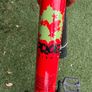 Frog 55 bike Image 6