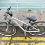 Carrera Mountain Bike Image 6