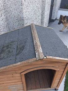 Large dog kennel ,