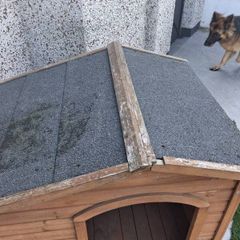 Large dog kennel ,