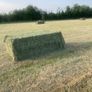 8x4x3 Bales of Hay Image 2