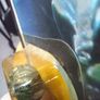 Vintage Star Wars Klaatu Carded Image 6