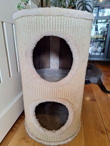 cat tree