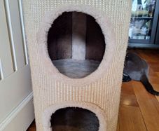cat tree