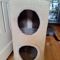 cat tree