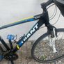 Giant Roam 3  Hybrid Image 2
