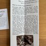 The Latest Thing (Collectable World Studios) Image 9