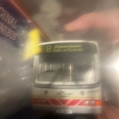 Bus eireann
