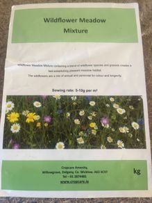 Wildflower seeds