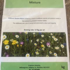 Wildflower seeds