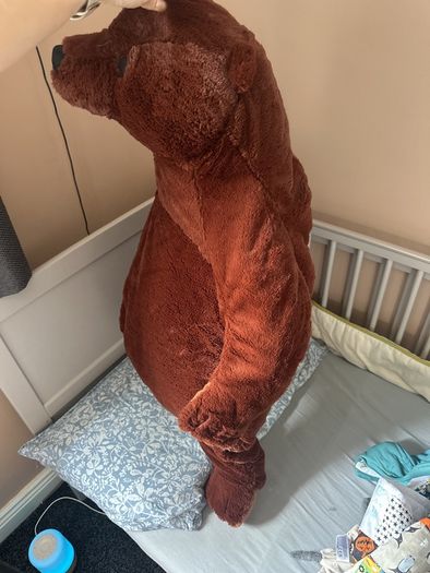 large cuddley brown bear