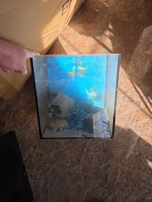 fish tank