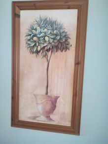 Framed Print Lemon Tree By De-villeneuve 51 X 91 Cm