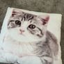 Kitty pillow cushion 30x30cm Image 3