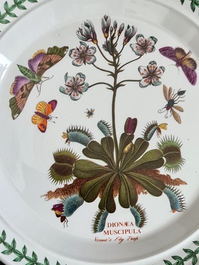 Portmeirion Botanic Garden Venus Fly Trap Dinner Plate 27cm Vintage England 1972+